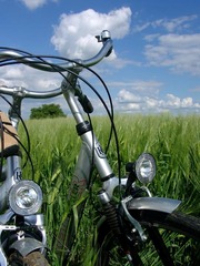 Killikus&reg; Fotographie